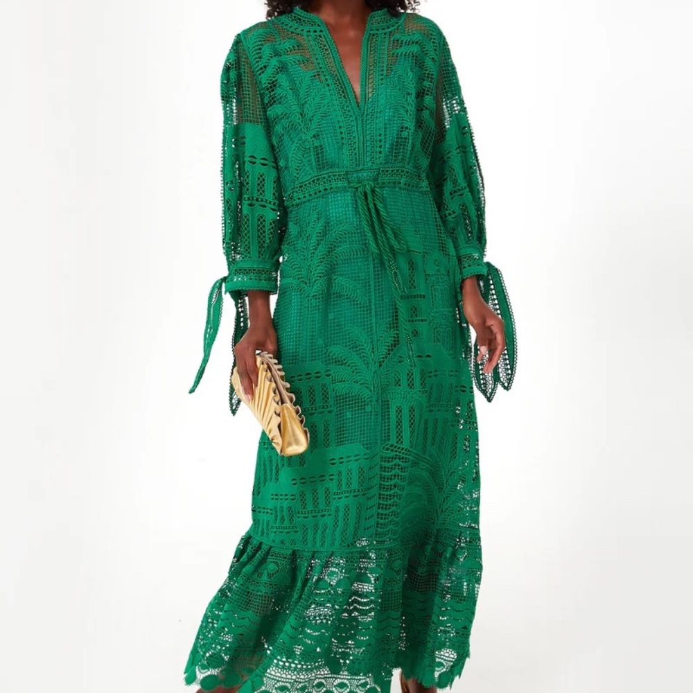 Green Morada Boa Guipure Maxi Dress